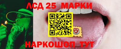 трава Сланцы